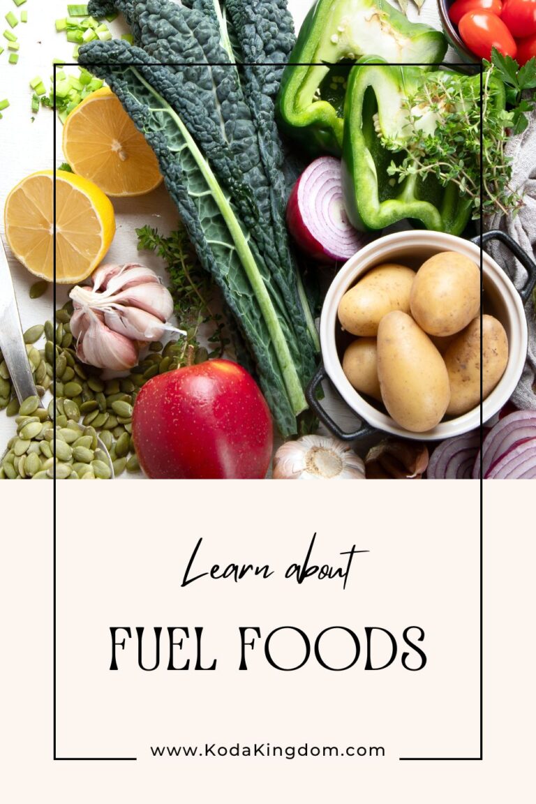 pinterest pin on learning about fuel foods