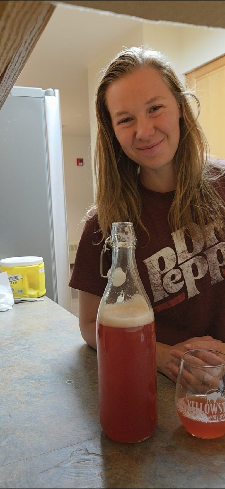 Healthy homemade strawberry ginger bug soda