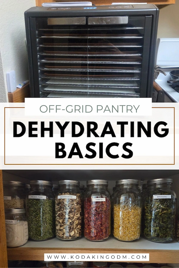 Dehydrator and dehydarted food in half gallon mason jars for long term storage