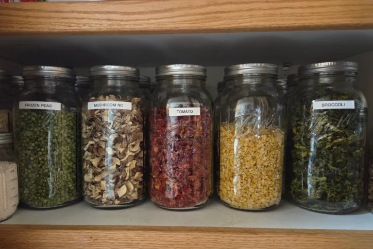 Dehydrated Fruits and Veggies stored for long term storage