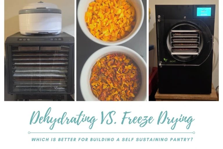 Dehydrator on the left, Freeze dryer on the right and bell peppers in the middle that have been dehydrated and freeze dried for comparison.