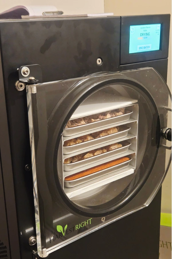 at home, harvest freeze drying currently preserving food for long term storage.