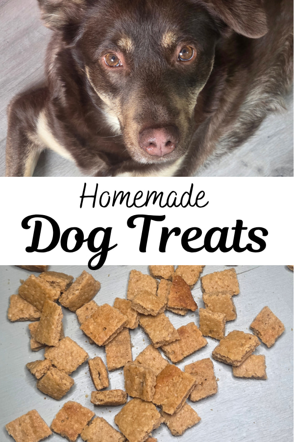 Homemade dog treats lying next to our dog