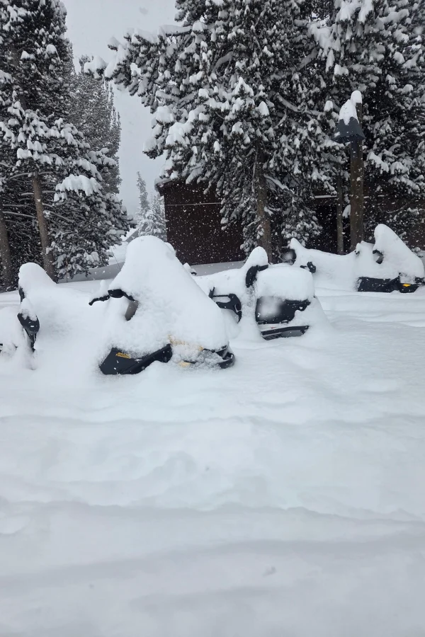 Snowmobiles covered in snow after a big snowfall in winter at yellowstone