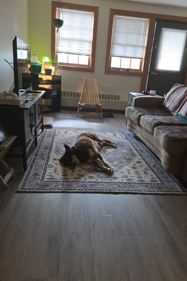 Our apartment inside a national park that only costs us 200 dollars